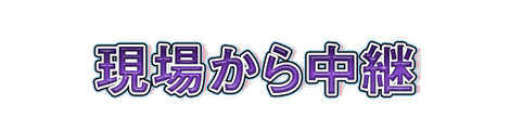 CF_N02_桃影_12紫