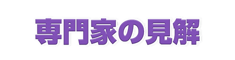 CF_N05_解説_12紫