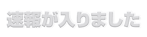 CF_N05_解説_15白