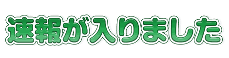 CF_N06_天気_07緑