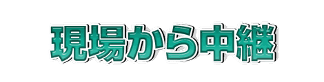 CF_N07_数値強調_08翠