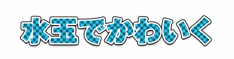 CF_P03_模様市松_09水