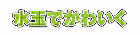 CF_P04_模様格子_06黄緑